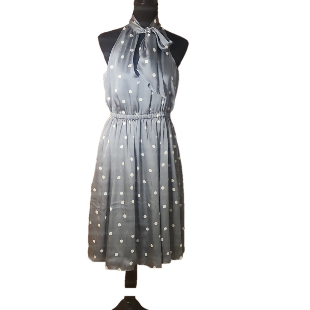 Ryegrass polkadot dress, size Small - Picture 1 of 6